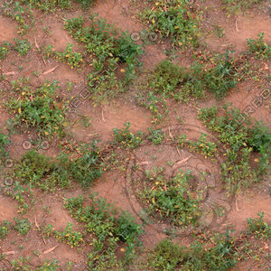Ground 11
