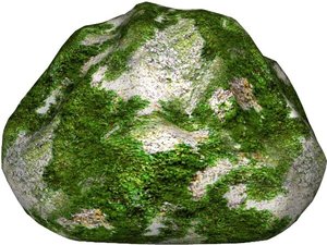 Mossy rock 09