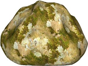 Mossy rock 08