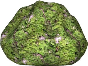 Mossy rock 10