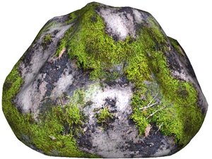 Mossy rock 15