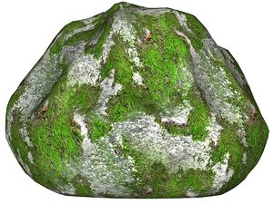 Mossy rock 51