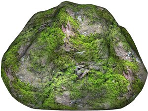 Mossy rock 56