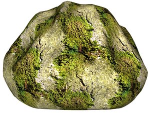 Mossy rock 21