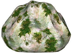 Mossy rock 24