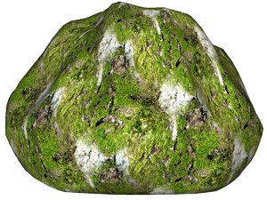Mossy rock 55