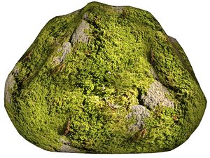 Mossy rock 27
