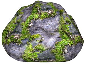 Mossy rock 47