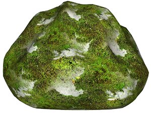 Mossy rock 33