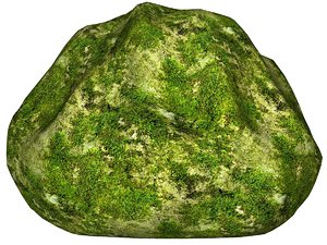 Mossy rock 42