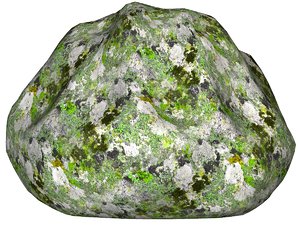 Mossy rock 103