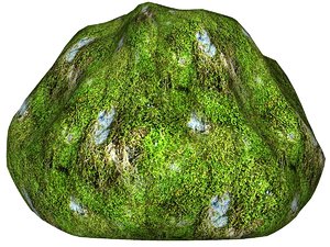 Mossy rock 41