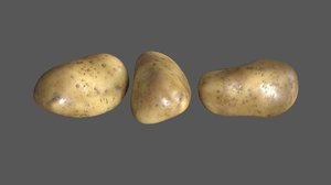 potatoe food 3D model