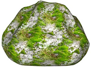 Mossy rock 112