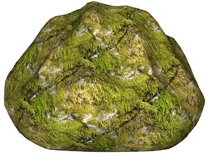 Mossy rock 124