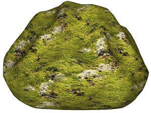 Mossy rock 106