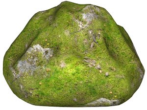 Mossy rock 156