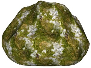 Mossy rock 129