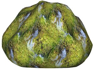 Mossy rock 116
