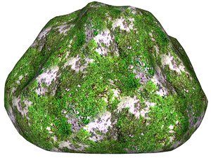 Mossy rock 105
