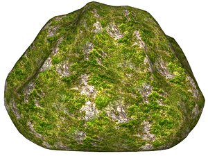 Mossy rock 119
