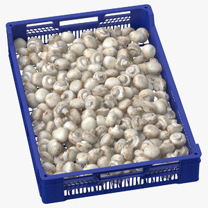 3D model postharvest fruits tray white