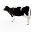 3D cow animal mammal