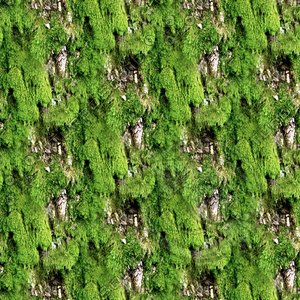 Mossy tree bark 45