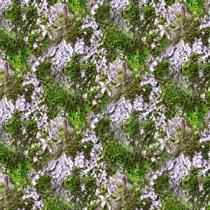 Mossy tree bark 50