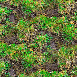 Muddy ground with weeds 01