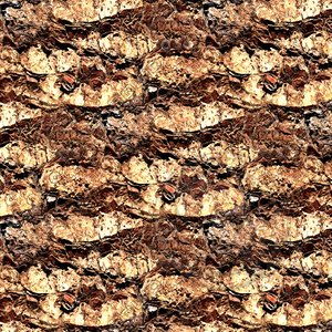 Palm tree bark 01