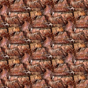 Palm tree bark 16