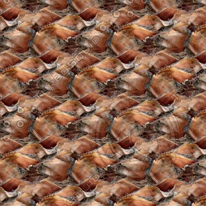 Palm tree bark 10