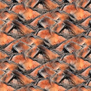 Palm tree bark 03
