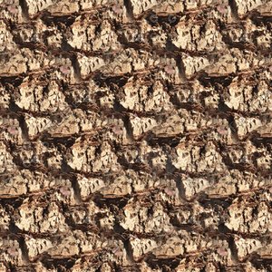 Palm tree bark 05