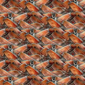 Palm tree bark 28