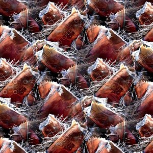 Palm tree bark 08