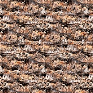Palm tree bark 04