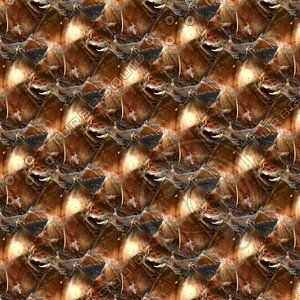 Palm tree bark 33