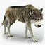 wolf rigged 4 fur 3D model