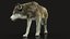 wolf rigged 4 fur 3D model