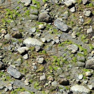 Rocky ground 02