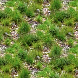 Rocky ground with grass patches 01
