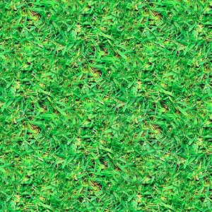 Rough grass 03