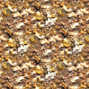 Slimy beach sand 09