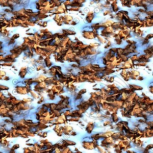 Snow on leafy ground 03