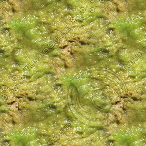 Slimy beach sand 03