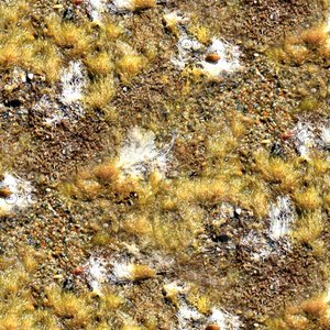 Slimy beach sand 07