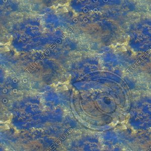 Shallow water 15