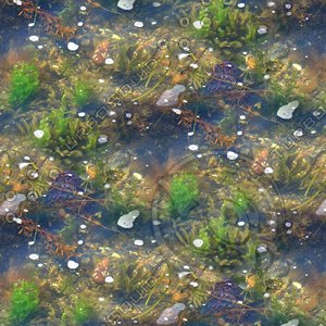Shallow water 18